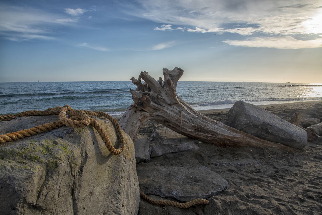 Il nuovo Albero dei desideri: un ricordo del passaggio dell''Amerigo Vespucci